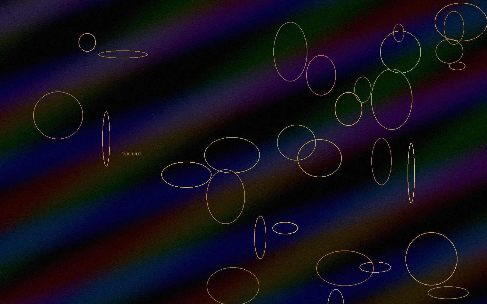 与欧洲导演合作的艺术电影